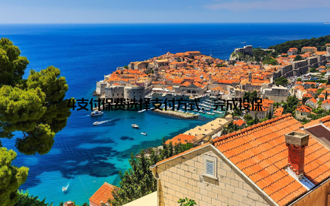 4支付保费选择支付方式, 完成投保