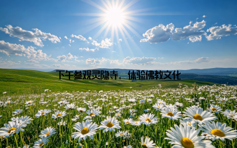 下午参观灵隐寺, 体验佛教文化