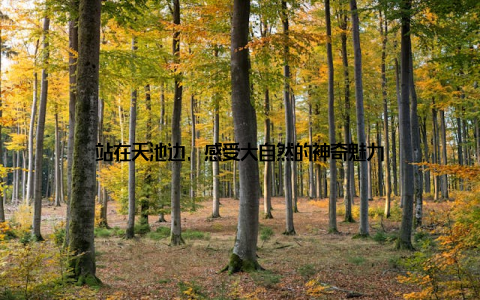 站在天池边, 感受大自然的神奇魅力