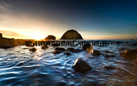 银行转账将签证费用汇入指定银行账户