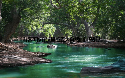 游客可以在这里感受大自然的神奇魅力