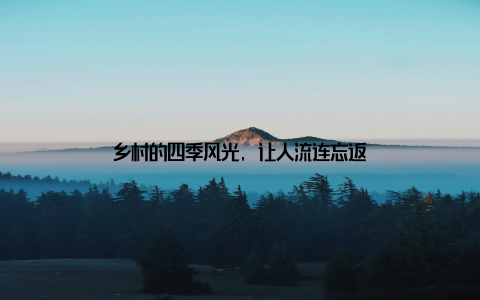 乡村的四季风光, 让人流连忘返