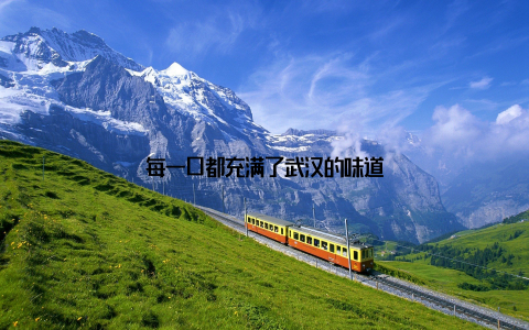 每一口都充满了武汉的味道