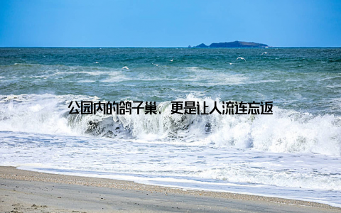 公园内的鸽子巢, 更是让人流连忘返