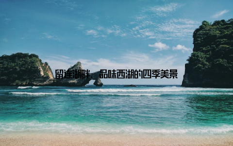 留连湖畔, 品味西湖的四季美景