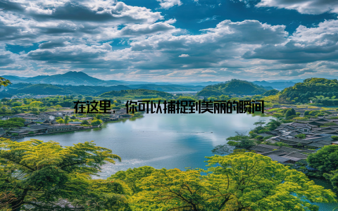 在这里, 你可以捕捉到美丽的瞬间