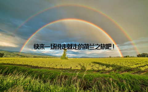 快来一场说走就走的荷兰之旅吧!