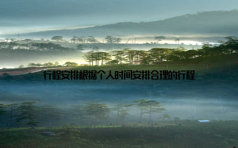 行程安排根据个人时间安排合理的行程