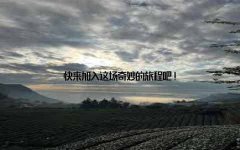 快来加入这场奇妙的旅程吧!