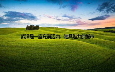 武汉是一座充满活力、独具魅力的城市