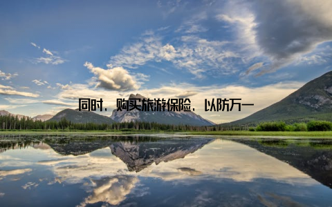 同时, 购买旅游保险, 以防万一