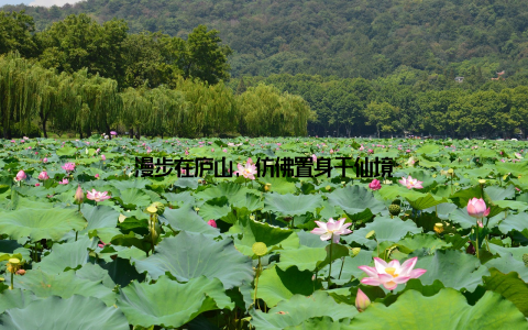 漫步在庐山, 仿佛置身于仙境