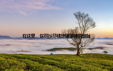 在这里, 你可以尽情地珊瑚礁的奥秘