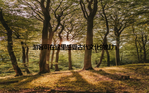 游客可在这里感受古代文化的魅力