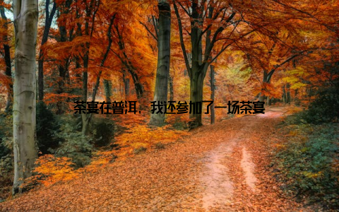 茶宴在普洱, 我还参加了一场茶宴