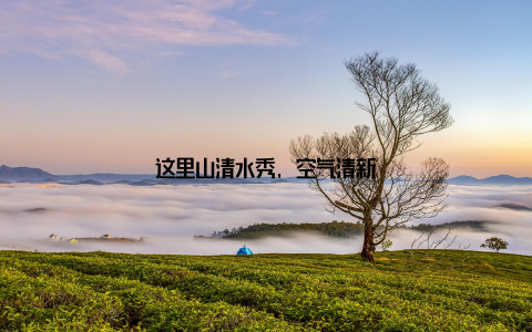 这里山清水秀, 空气清新