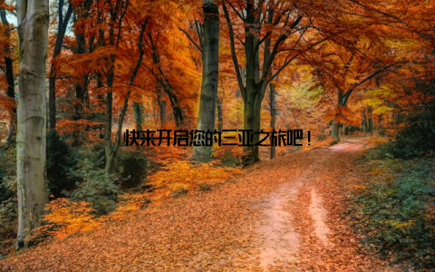 快来开启您的三亚之旅吧!