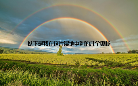 以下是我在这片湿地中到的几个奥秘