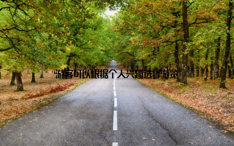 游客可以根据个人兴趣选择游览