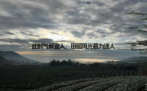 此时气候宜人, 田园风光最为迷人