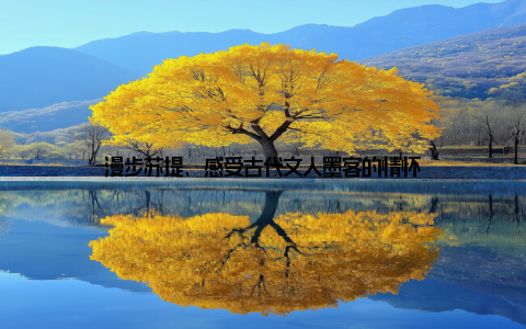 漫步苏堤, 感受古代文人墨客的情怀