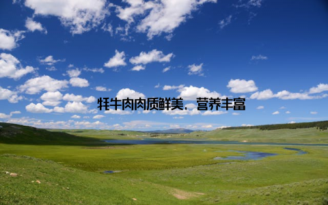 – 牦牛肉肉质鲜美, 营养丰富