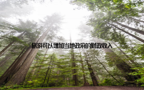 旅游可以增加当地政府的财政收入