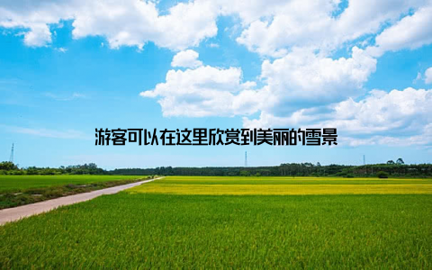 游客可以在这里欣赏到美丽的雪景