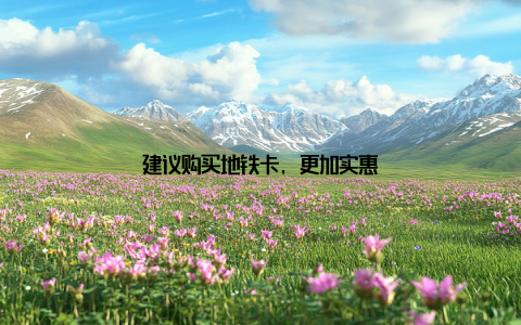 建议购买地铁卡, 更加实惠