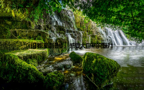 沿着溪流漫步, 感受大自然的魅力