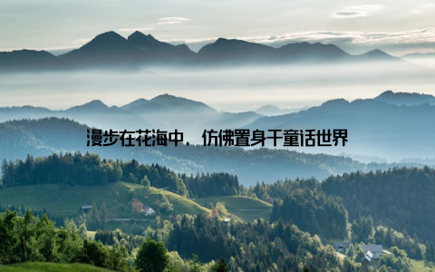 漫步在花海中, 仿佛置身于童话世界