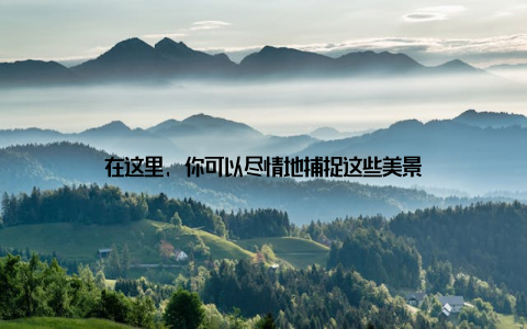 在这里, 你可以尽情地捕捉这些美景