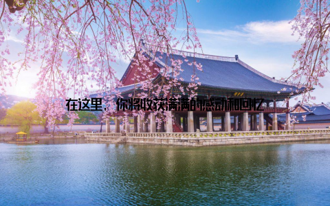 在这里, 你将收获满满的感动和回忆