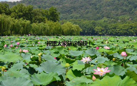 祝愿大家旅途愉快!