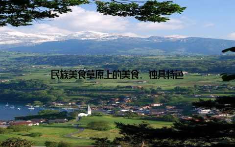 民族美食草原上的美食, 独具特色