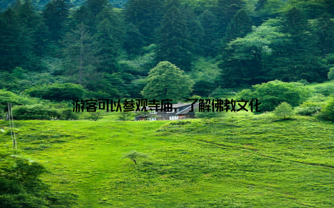 游客可以参观寺庙, 了解佛教文化