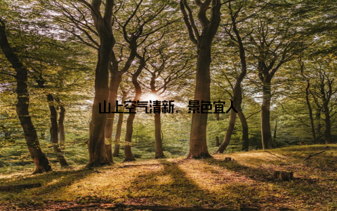 山上空气清新, 景色宜人